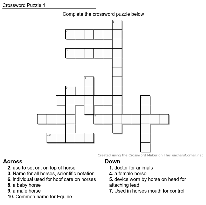 Kids Sidney Hawk Equine